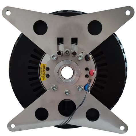 emrax 268 spin motor.